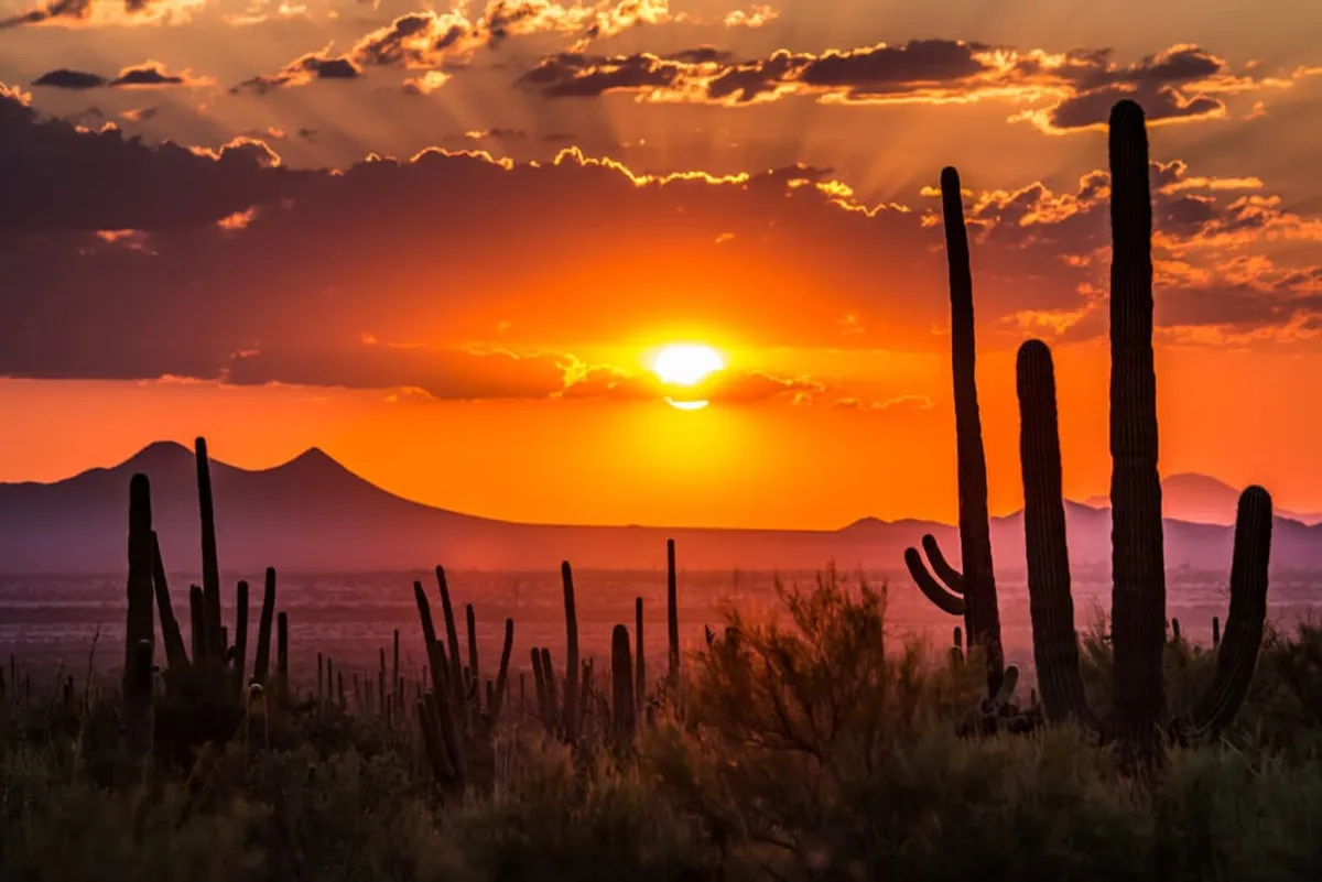 A breathtaking sunset landscape with iconic cacti and distant mountain ranges, highlighting the natural beauty and sense of tranquility found within the community. The scene is ideal for nature walks, photography, and stargazing, reflecting the area's unique desert charm.